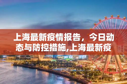 上海最新疫情报告，今日动态与防控措施,上海最新疫情报告今天