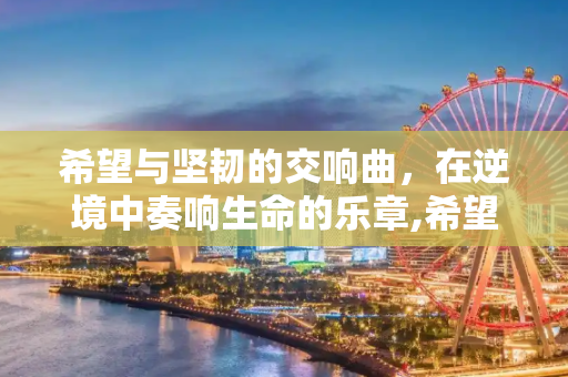希望与坚韧的交响曲，在逆境中奏响生命的乐章,希望与坚韧的交响曲