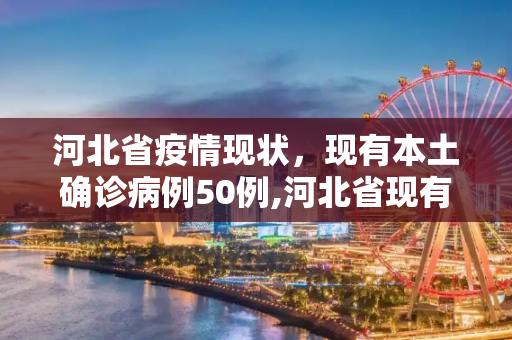 河北省疫情现状，现有本土确诊病例50例,河北省现有本土确诊病例50例