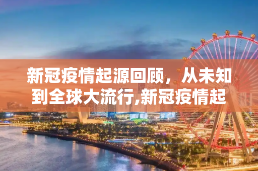 新冠疫情起源回顾，从未知到全球大流行,新冠疫情起源回顾
