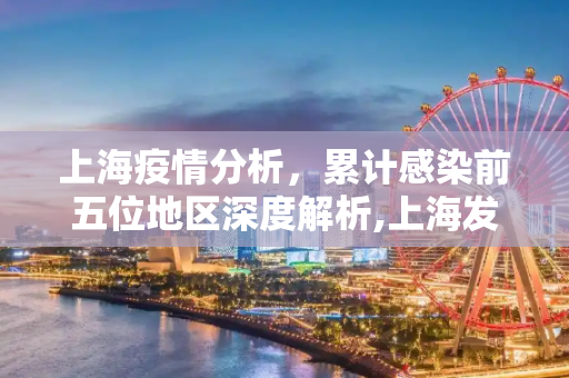 上海疫情分析，累计感染前五位地区深度解析,上海发布累计感染前五位地区