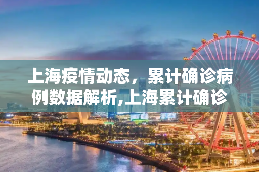 上海疫情动态，累计确诊病例数据解析,上海累计确诊多少例了