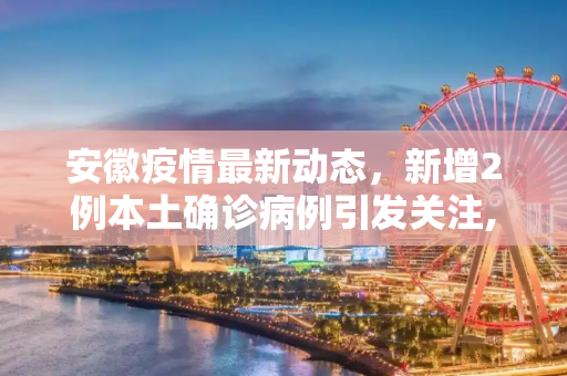 安徽疫情最新动态，新增2例本土确诊病例引发关注,安徽新增2例本土确诊病例