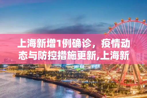 上海新增1例确诊，疫情动态与防控措施更新,上海新增1例确诊