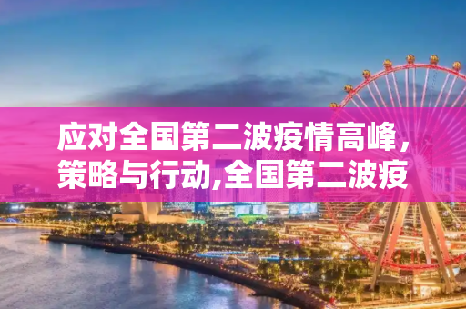 应对全国第二波疫情高峰，策略与行动,全国第二波疫情高峰应对策略