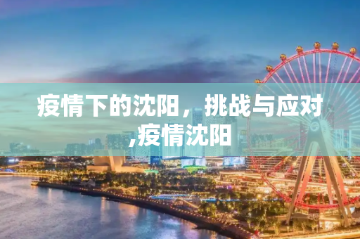 疫情下的沈阳，挑战与应对,疫情沈阳