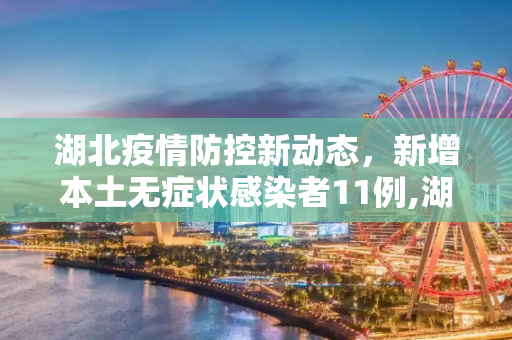 湖北疫情防控新动态，新增本土无症状感染者11例,湖北新增本土无症状11例