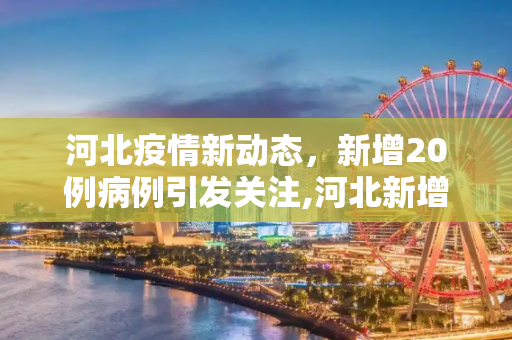 河北疫情新动态，新增20例病例引发关注,河北新增20例