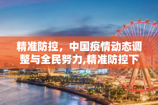 精准防控，中国疫情动态调整与全民努力,精准防控下中国疫情动态调整与全民努力