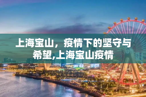 上海宝山，疫情下的坚守与希望,上海宝山疫情