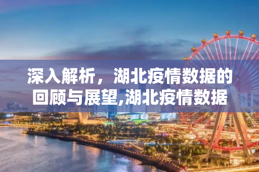 深入解析，湖北疫情数据的回顾与展望,湖北疫情数据