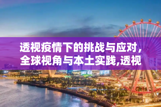 透视疫情下的挑战与应对，全球视角与本土实践,透视疫情下的挑战与应对