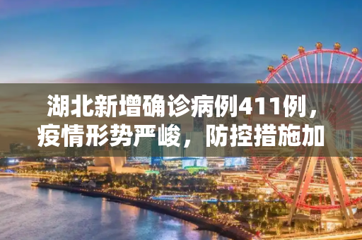 湖北新增确诊病例411例，疫情形势严峻，防控措施加强,湖北新增确诊病例411例