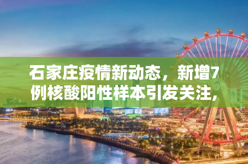 石家庄疫情新动态，新增7例核酸阳性样本引发关注,石家庄新增7例核酸阳性样本