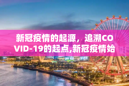 新冠疫情的起源，追溯COVID-19的起点,新冠疫情始于何时？