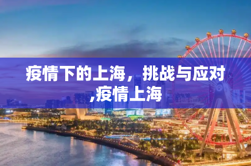 疫情下的上海，挑战与应对,疫情上海