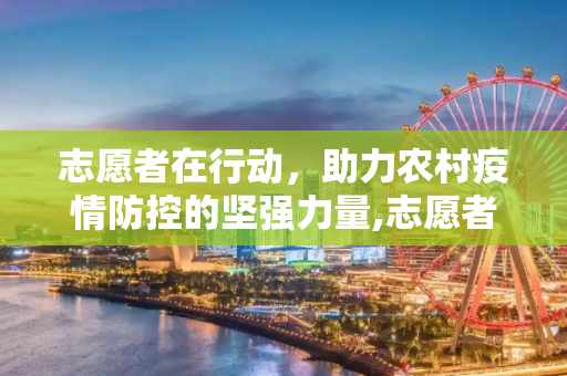 志愿者在行动，助力农村疫情防控的坚强力量,志愿者助力农村疫情防控