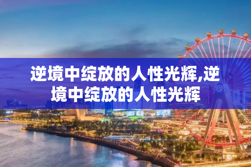逆境中绽放的人性光辉,逆境中绽放的人性光辉