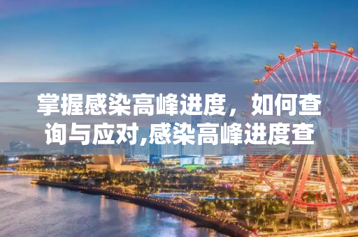 掌握感染高峰进度，如何查询与应对,感染高峰进度查询