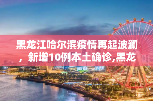 黑龙江哈尔滨疫情再起波澜，新增10例本土确诊,黑龙江哈尔滨新增10例本土确诊