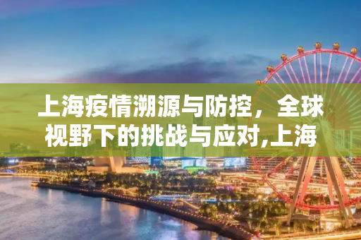 上海疫情溯源与防控，全球视野下的挑战与应对,上海疫情溯源、防控与全球视野