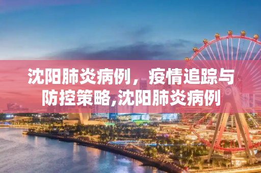 沈阳肺炎病例，疫情追踪与防控策略,沈阳肺炎病例