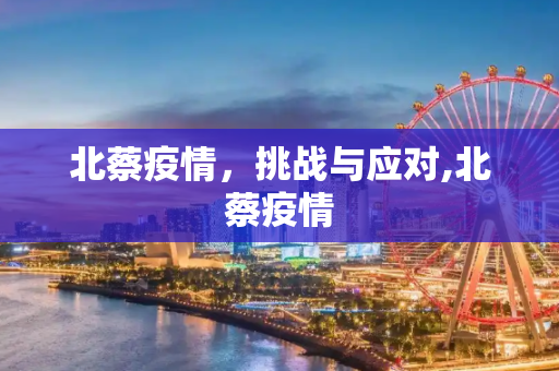 北蔡疫情，挑战与应对,北蔡疫情