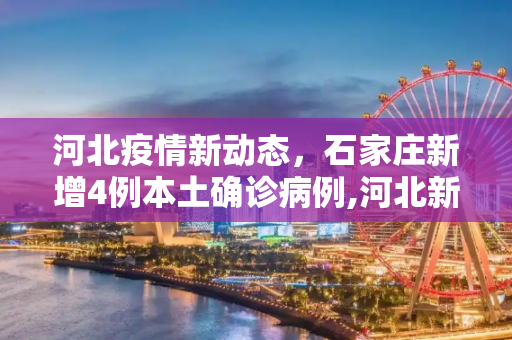 河北疫情新动态，石家庄新增4例本土确诊病例,河北新增4例本土确诊均在石家庄