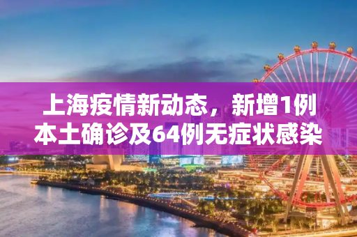 上海疫情新动态，新增1例本土确诊及64例无症状感染者,包含上海新增1例本土确诊64例无症状的词条