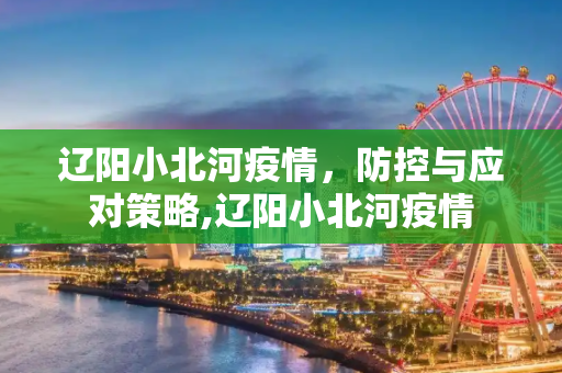 辽阳小北河疫情，防控与应对策略,辽阳小北河疫情