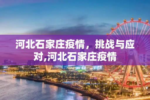 河北石家庄疫情，挑战与应对,河北石家庄疫情