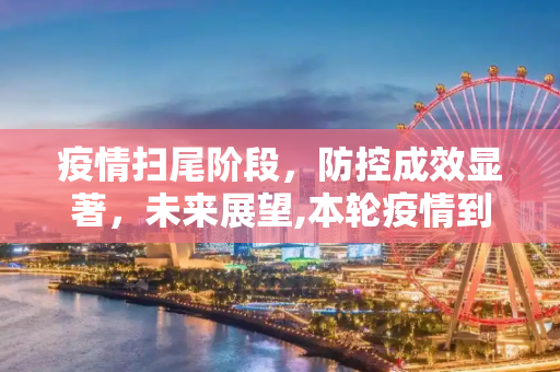 疫情扫尾阶段，防控成效显著，未来展望,本轮疫情到扫尾阶段
