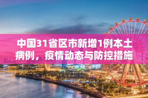 中国31省区市新增1例本土病例，疫情动态与防控措施,31省区市新增1例本土病例