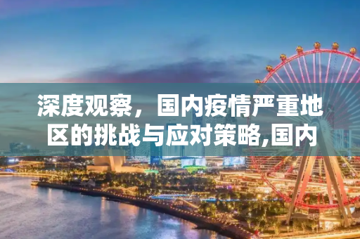 深度观察，国内疫情严重地区的挑战与应对策略,国内疫情严重地区深度分析与观察