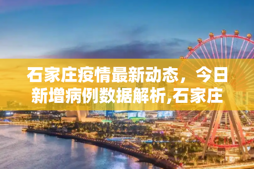 石家庄疫情最新动态，今日新增病例数据解析,石家庄疫情最新数据消息今天新增