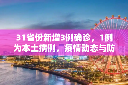 31省份新增3例确诊，1例为本土病例，疫情动态与防控措施,31省份新增3例确诊1例为本土