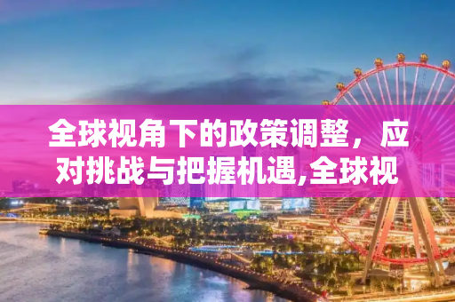 全球视角下的政策调整，应对挑战与把握机遇,全球视角下的政策调整