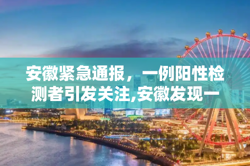 安徽紧急通报，一例阳性检测者引发关注,安徽发现一例阳性检测者