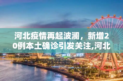 河北疫情再起波澜，新增20例本土确诊引发关注,河北新增20例本土确诊