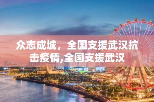 众志成城，全国支援武汉抗击疫情,全国支援武汉