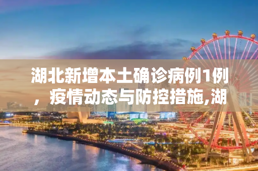 湖北新增本土确诊病例1例，疫情动态与防控措施,湖北新增本土确诊病例1例