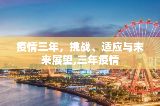 疫情三年，挑战、适应与未来展望,三年疫情