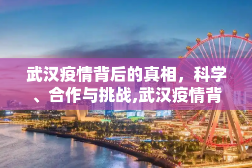 武汉疫情背后的真相，科学、合作与挑战,武汉疫情背后的真相