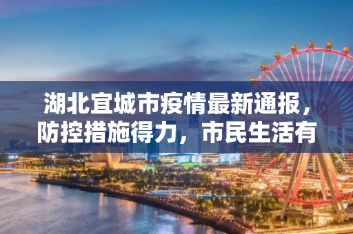 湖北宜城市疫情最新通报，防控措施得力，市民生活有序,湖北宜城市疫情最新通报