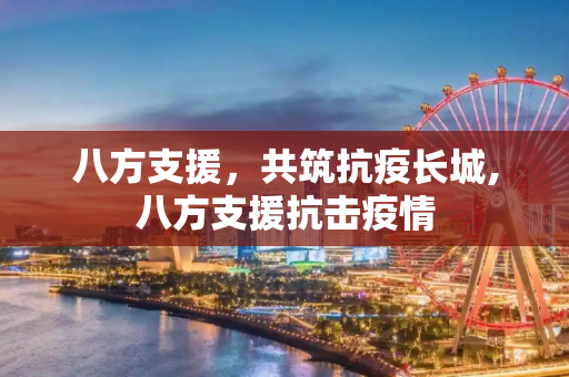 八方支援，共筑抗疫长城,八方支援抗击疫情