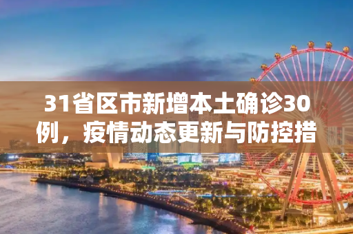 31省区市新增本土确诊30例，疫情动态更新与防控措施,31省区市新增本土确诊30例