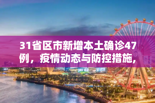31省区市新增本土确诊47例，疫情动态与防控措施,31省区市新增本土确诊47例