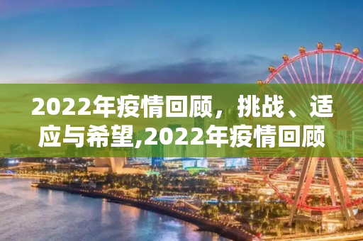 2022年疫情回顾，挑战、适应与希望,2022年疫情回顾