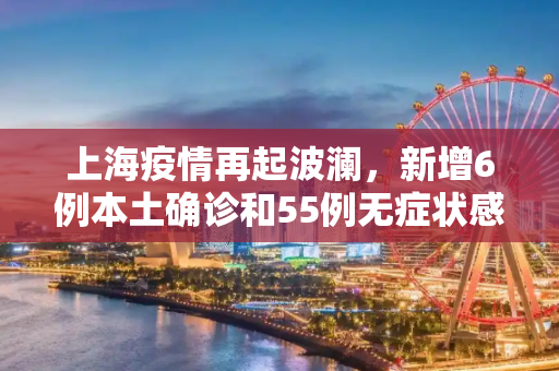 上海疫情再起波澜，新增6例本土确诊和55例无症状感染者,上海新增6例本土确诊55例无症状