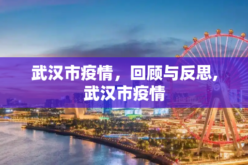 武汉市疫情，回顾与反思,武汉市疫情